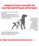 Royal Canin Dog Urinary S/O