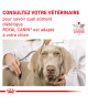 Royal Canin Dog Urinary S/O