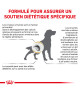 Royal Canin Dog Urinary S/O Moderate Calorie