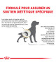 Royal Canin Dog Urinary UC Low Purine