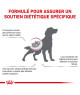 Royal Canin Dog Early Renal