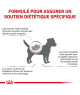 Royal Canin Dog Renal Small Dog