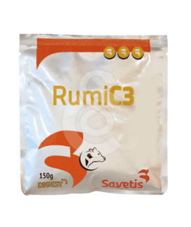 Rumi C3
