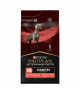 Canine DM Diabetes Management