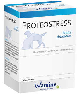 Proteostress PA