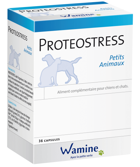 Proteostress PA
