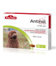 Antinol chien
