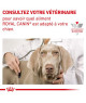 Royal Canin Dog Hypoallergenic Puppy