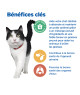 Chat Multi-Benefit + Weight Mature Adult Poulet