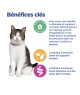 Chat Multi-Benefit + Weight Young Adult Poulet