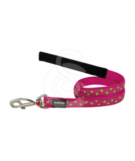 Laisse Red Dingo