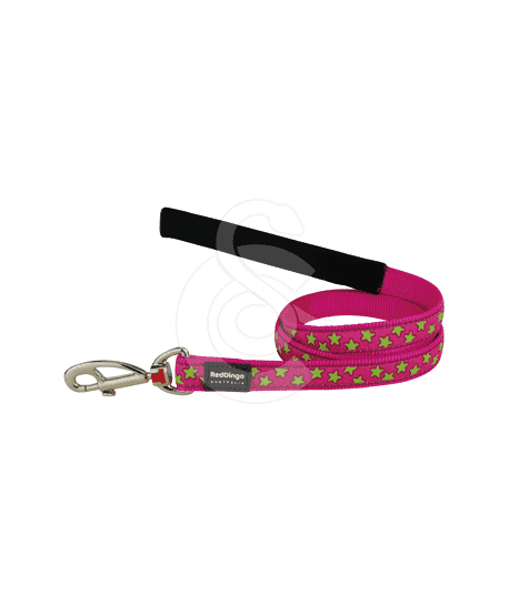 Laisse Red Dingo