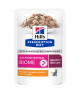 Chat Gastrointestinal Biome Poulet
