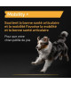 Pro Plan Mobility + Chien
