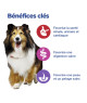 Chien Multi-Benefit  Adult1+ No Grain Medium Thon/Pdt