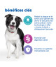 Chien Multi-Benefit+ Dental Adult1+ Medium & Large Poulet