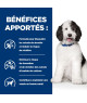 Chien c/d Urinary Multicare Poulet