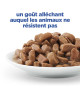 Chat Multi-Benefit Adult 1+ Saumon