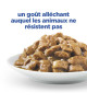 Chat Multi-Benefit Mature