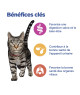 Chat Multi-Benefit Mature