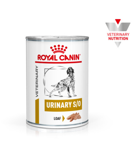 Royal Canin Dog Urinary S/O Boîte
