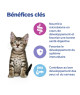 Kitten Multi-Benefit