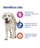 Chien Multi-Benefit Adult1+ Large Breed Agneau/Riz