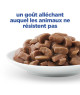 Chat Multi-Benefit + Weight Adult Poulet