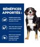 Chien j/d Metabolic + Mobility Poulet