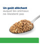 Chien R/D Weight Loss