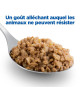 Chien Multi-Benefit Mature Poulet