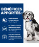 Chien On-Care Poulet