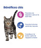 Chat Multi-Benefit Adult 1+ Poulet