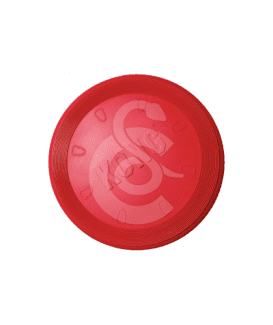 Kong Flyer