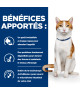 Chat On-Care