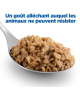 Chien Multi-Benefit Puppy Poulet