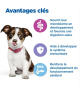 Chien Multi-Benefit Puppy Poulet