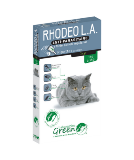 Rhodeo L.A. Chat