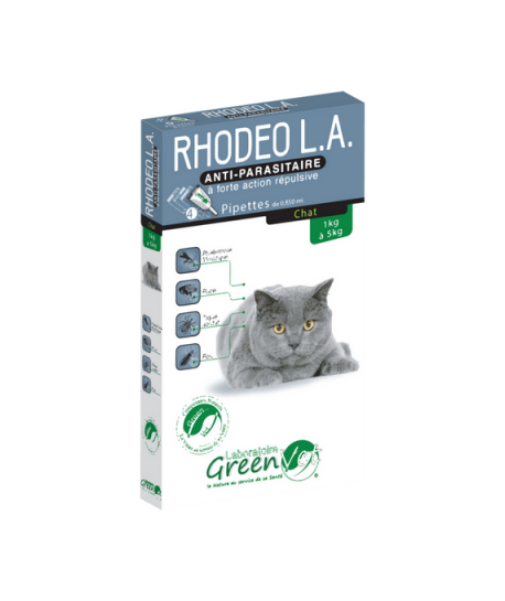 Rhodeo L.A. Chat