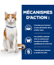 Chat On-Care Mijotés Poulet