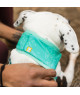 Bandana rafraîchissant Ruffwear Swamp Cooler