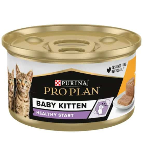 Cat Baby Kitten Mousse Poulet Cat Baby Kitten Mousse Poulet