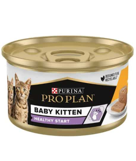 Cat Baby Kitten Mousse Poulet