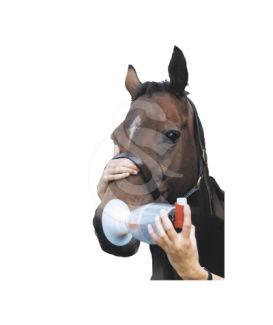 Aérosol Equine Haler pour inhalation - placedesvetos.com