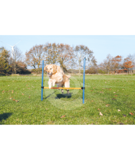 Agility : Obstacle Dog Activity - placedesvetos.com