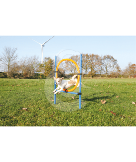 Agility : Anneau Dog Activity - placedesvetos.com