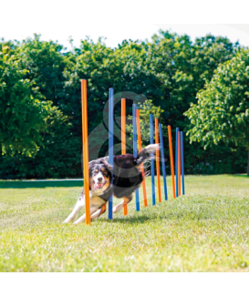 Agility : Slalom Trixie Fun - placedesvetos.com