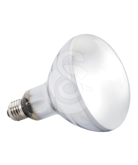 Ampoule Solar Glo UVA/UVB pour reptiles - placedesvetos.com
