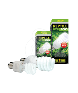 Ampoule Repti Glo 5,0 - placedesvetos.com