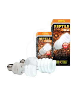Ampoule Repti Glo 10,0 - placedesvetos.com